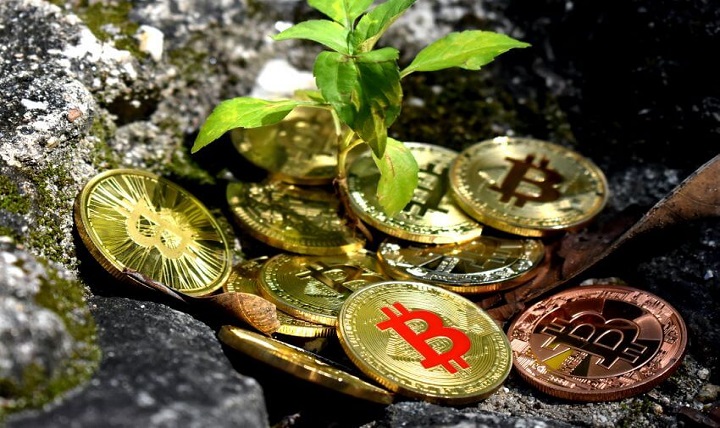 Greener Cryptocurrencies That Are Safe for the Environment